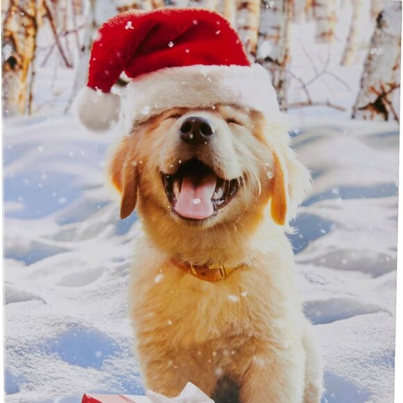 NWT Avanti Press Christmas Santa Pack of 20 Christmas Cards & Holiday Envelopes - Picture 5 of 5